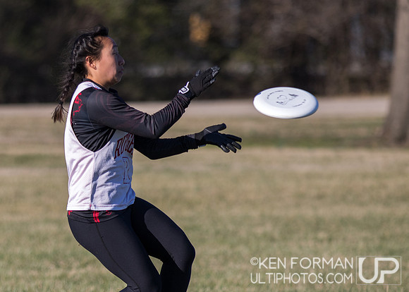 Cherry Blossom Classic - Saturday March 4, 2017