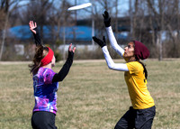 Cherry Blossom Classic - Sunday March 5, 2017