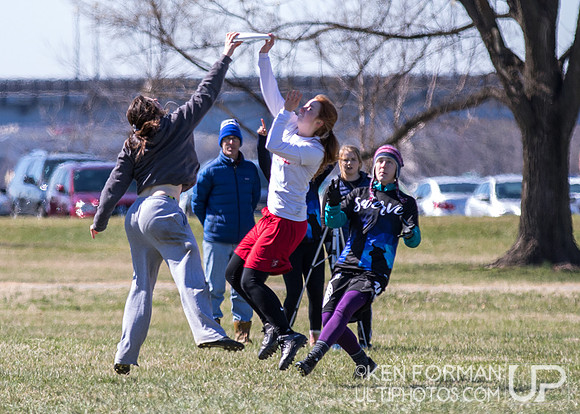 Cherry Blossom Classic - Sunday March 5, 2017