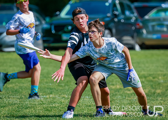 Illinois High School State Championship