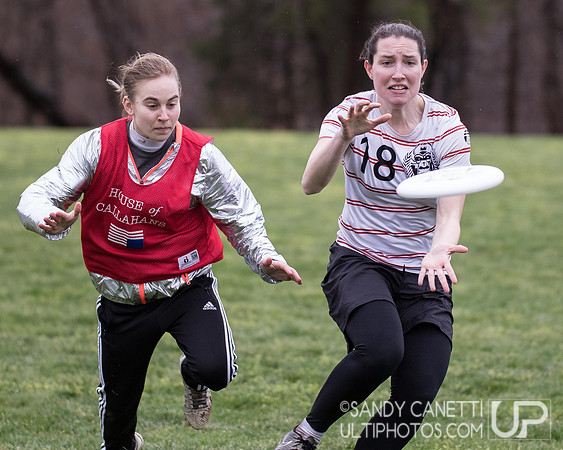 Fool's Fest 2017 - Friday Action