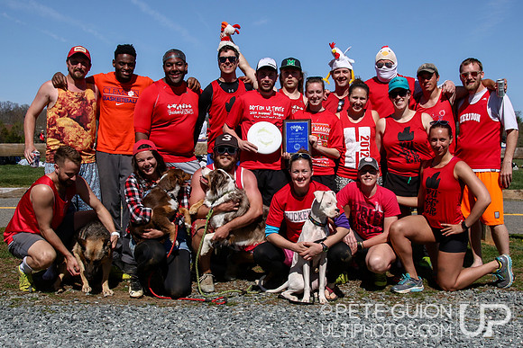 Foolhardy Chickens, Mixed Division III Champions and Spirit Award Winners