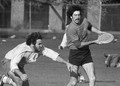Regionals April 1981
