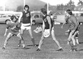 Regionals UMass November 1981