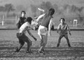 Regionals UMass November 1981