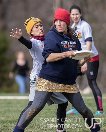 Fool's Fest 2017 - Friday Action