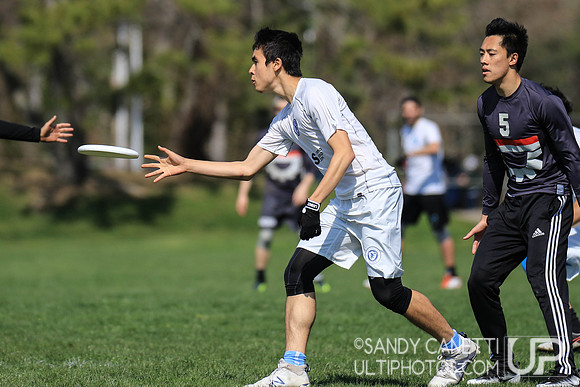 Saturday - Metro NY D-1 College Men's Sectionals