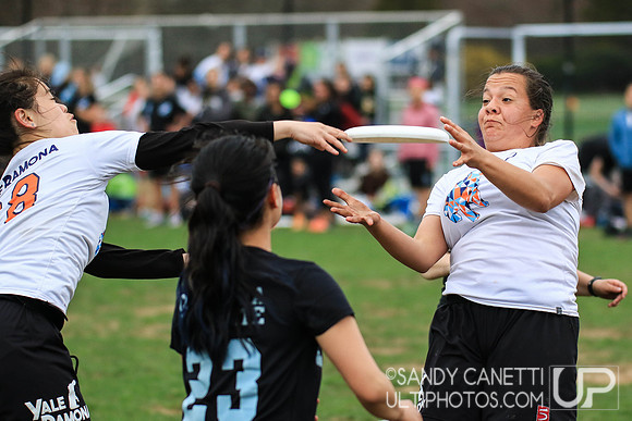 Saturday - Metro NY D-1 College Women's Sectionals