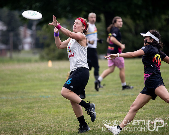 LVU's Disc Days of Summer
