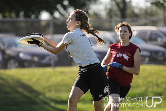 Paideia Cup 2017