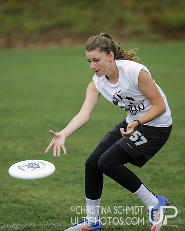 Paideia Cup 2017