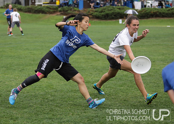 Paideia Cup 2017