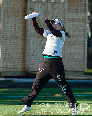 Harvard Ultimate Alumni v. current teams