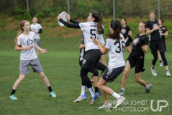 Paideia Cup 2017