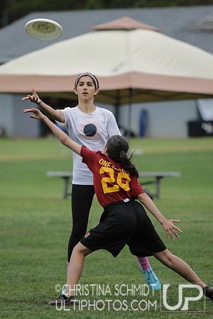 Paideia Cup 2017