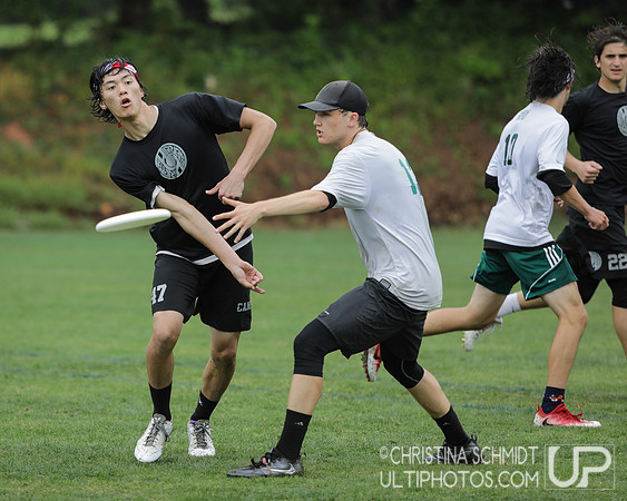 Paideia Cup 2017