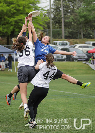 Paideia Cup 2017