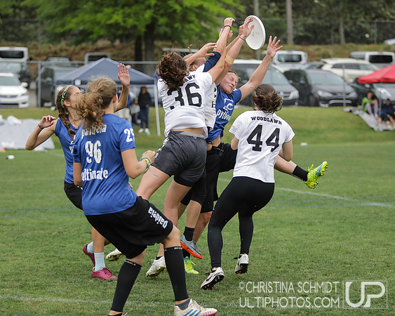 Paideia Cup 2017