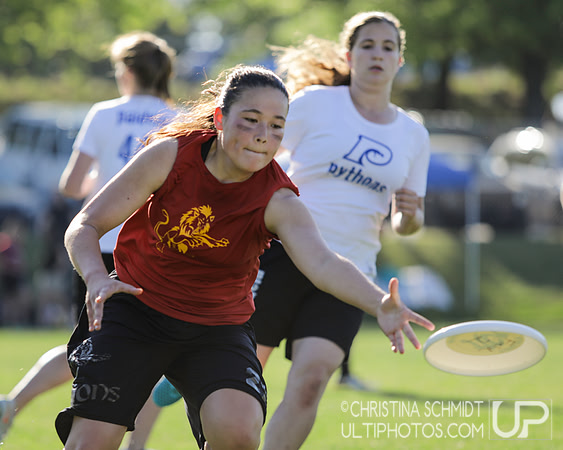 Paideia Cup 2017