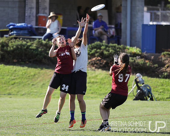 Paideia Cup 2017