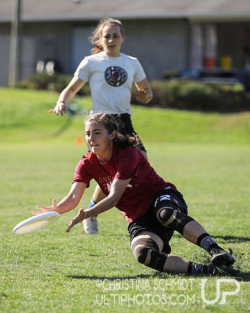 Paideia Cup 2017
