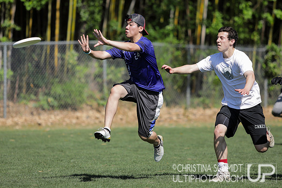 Paideia Cup 2017