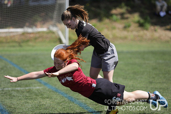 Paideia Cup 2017