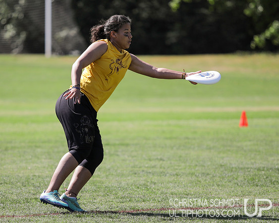 Paideia Cup 2017