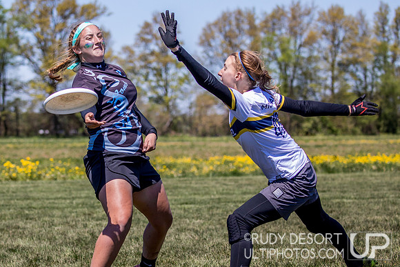 Great Lakes DI Regionals 2017