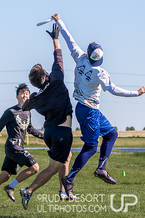 Great Lakes DI Regionals 2017
