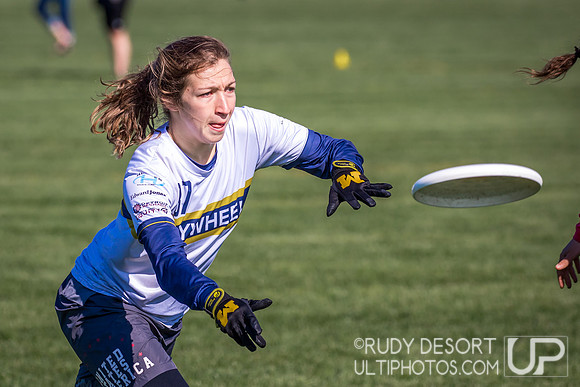 Great Lakes DI Regionals 2017