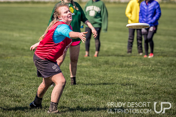 Great Lakes DI Regionals 2017
