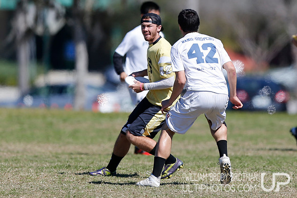 Warm Up: A Florida Affair