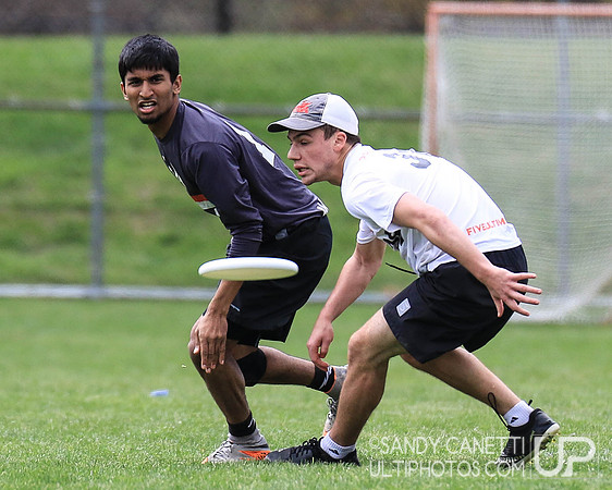 Saturday - Metro NY D-1 College Men's Sectionals