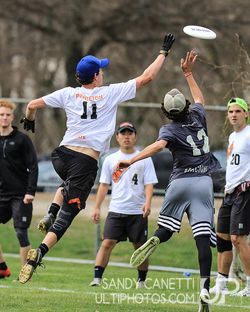 Saturday - Metro NY D-1 College Men's Sectionals