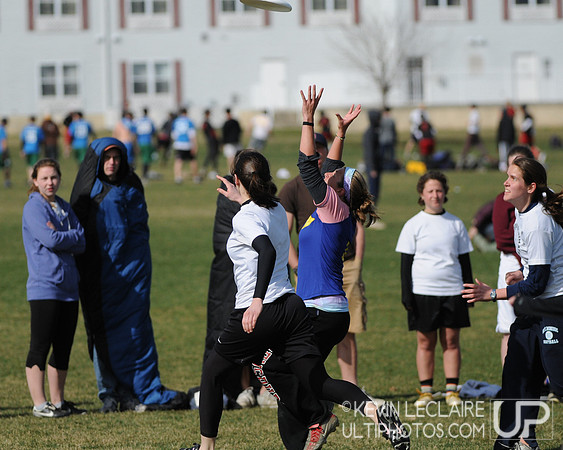 Steakfest Women's Sunday Games