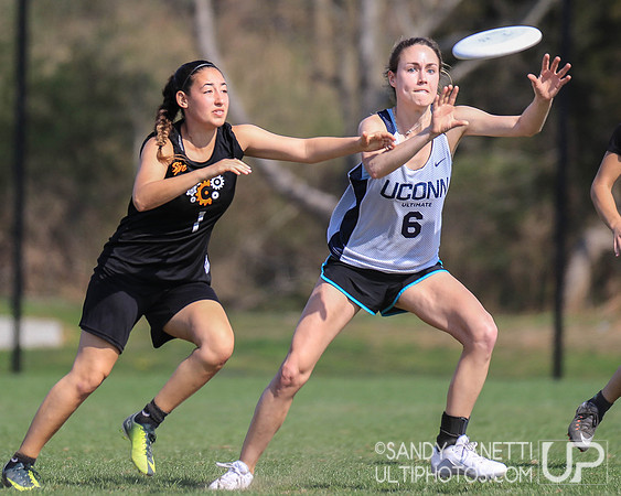 Sunday - Metro NY D-1 College Women's Sectionals