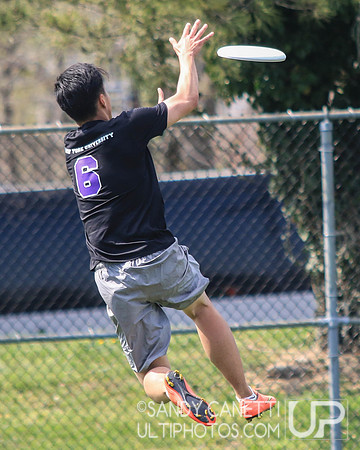 Sunday - Metro NY D-1 College Men's Sectionals