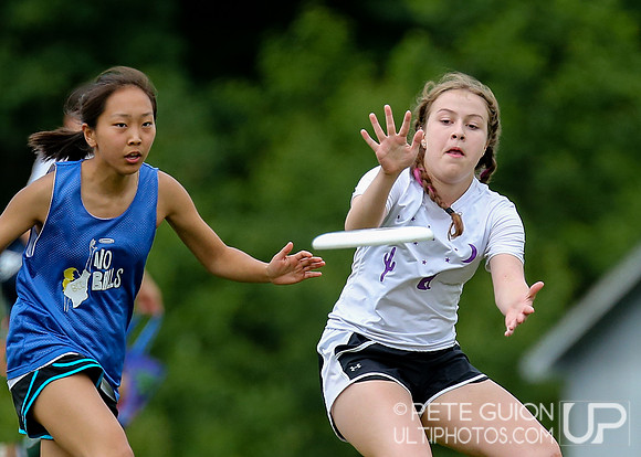 Virginia High School State Championships 2017