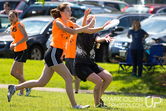 WI HS States 2017 Sunday