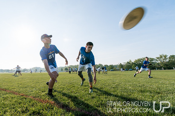 USA Ultimate D-I College Championships