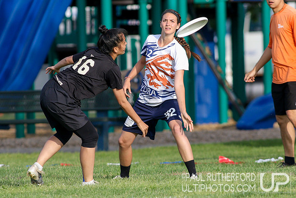 2017 USA Ultimate D-I College Championships