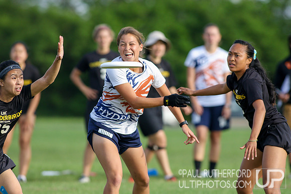 2017 USA Ultimate D-I College Championships