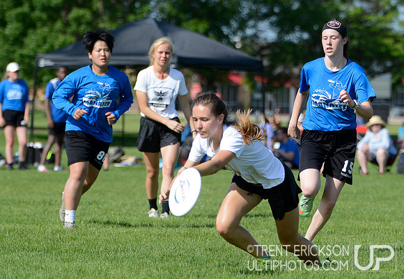 MN State High School Championships Saturday