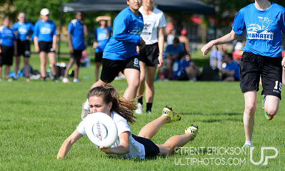 MN State High School Championships Saturday