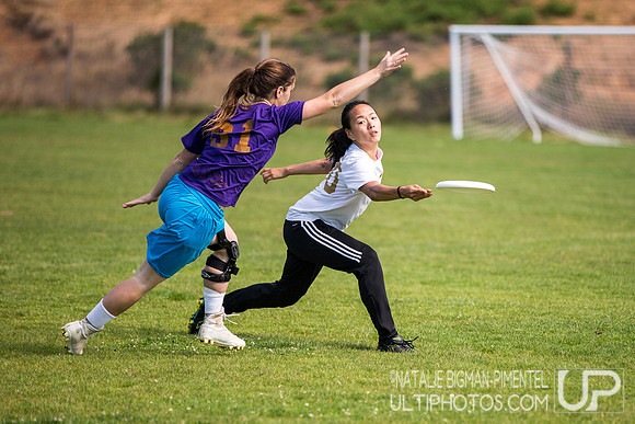Cal States 2017