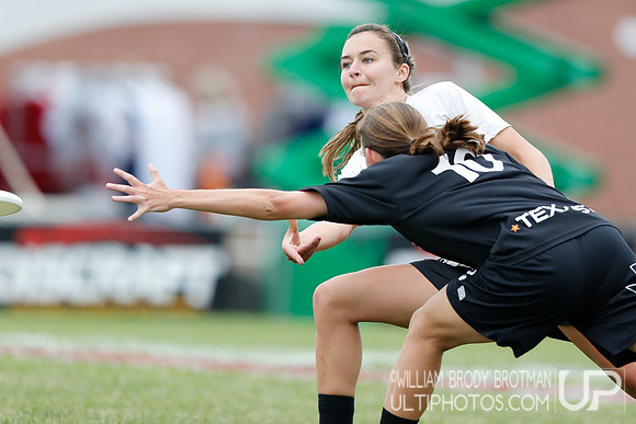 Day 3 of D-I College Championships
