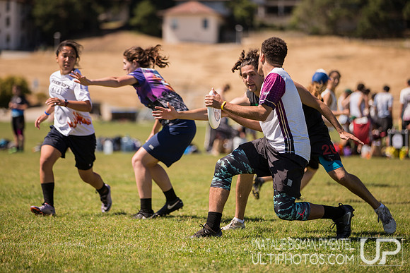 Cal States 2017