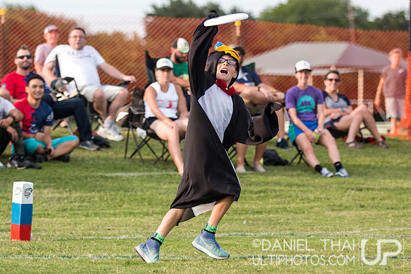 Dallas Roughnecks vs. Austin Sol - AUDL