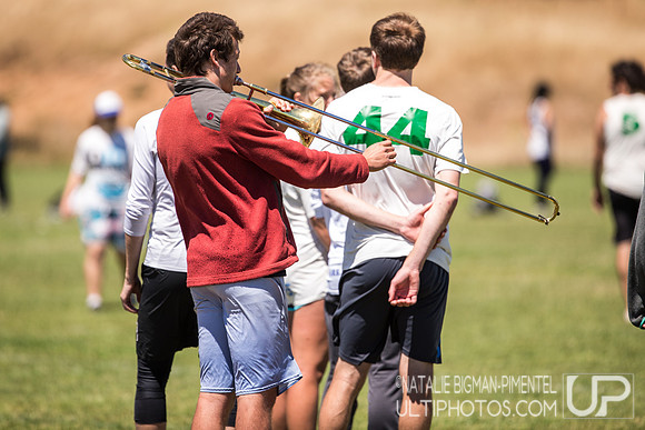 Cal States 2017